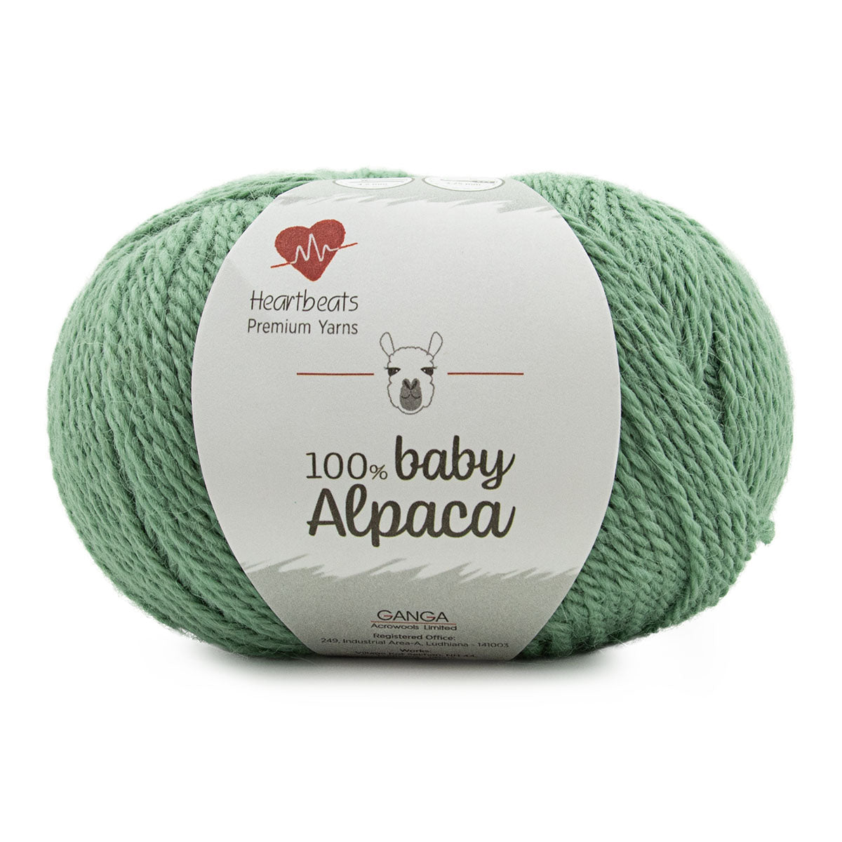 Baby Alpaca