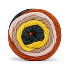 Merry Go Round Knitting Yarn
