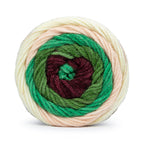 Merry Go Round Knitting Yarn