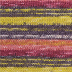 NOVA Exclusive Multi