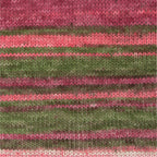 NOVA Exclusive Multi