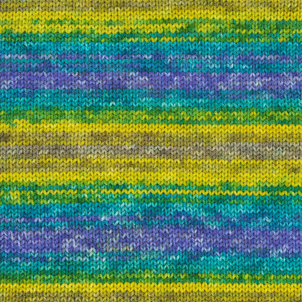 NOVA Exclusive Multi