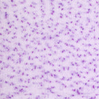 Plush Multi Luxurious Chenille Yarn