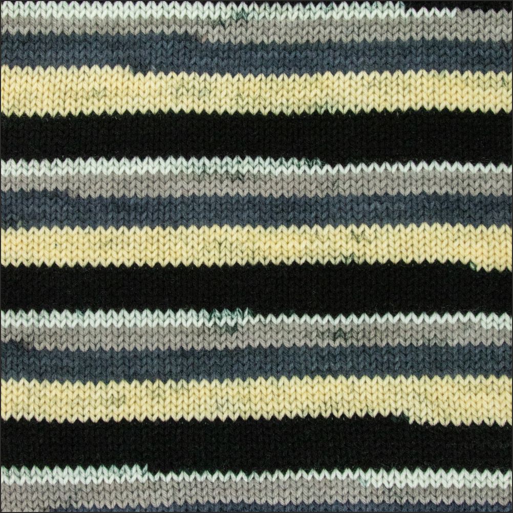 Pinto Knitter's Choice