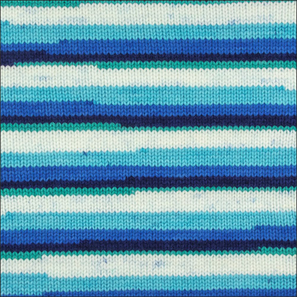 Pinto Knitter's Choice