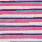 Pinto Knitter's Choice