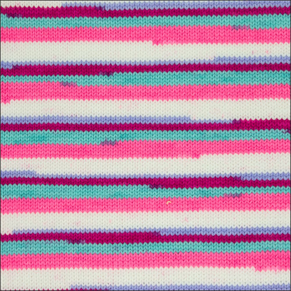 Pinto Knitter's Choice