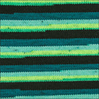 Pinto Knitter's Choice