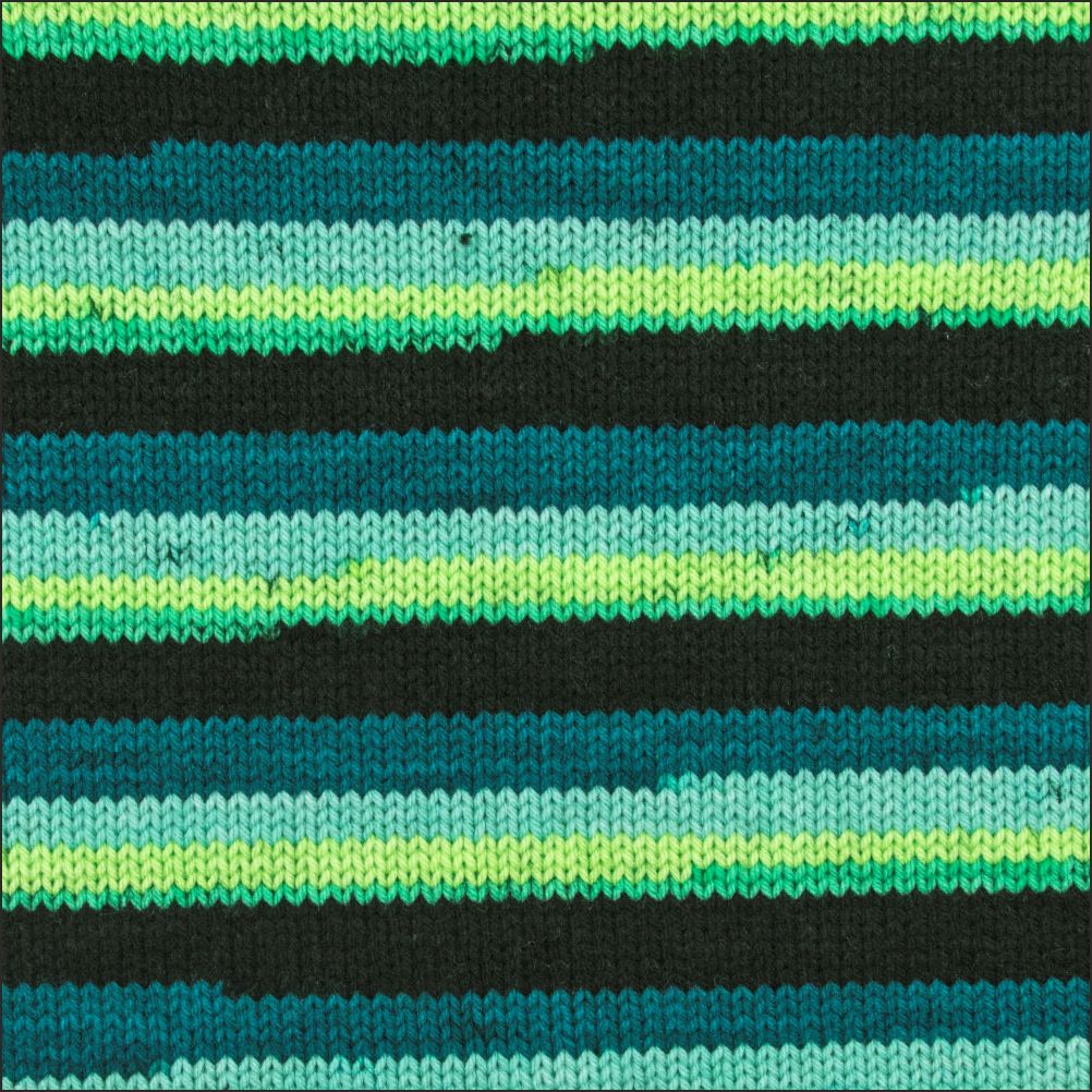 Pinto Knitter's Choice