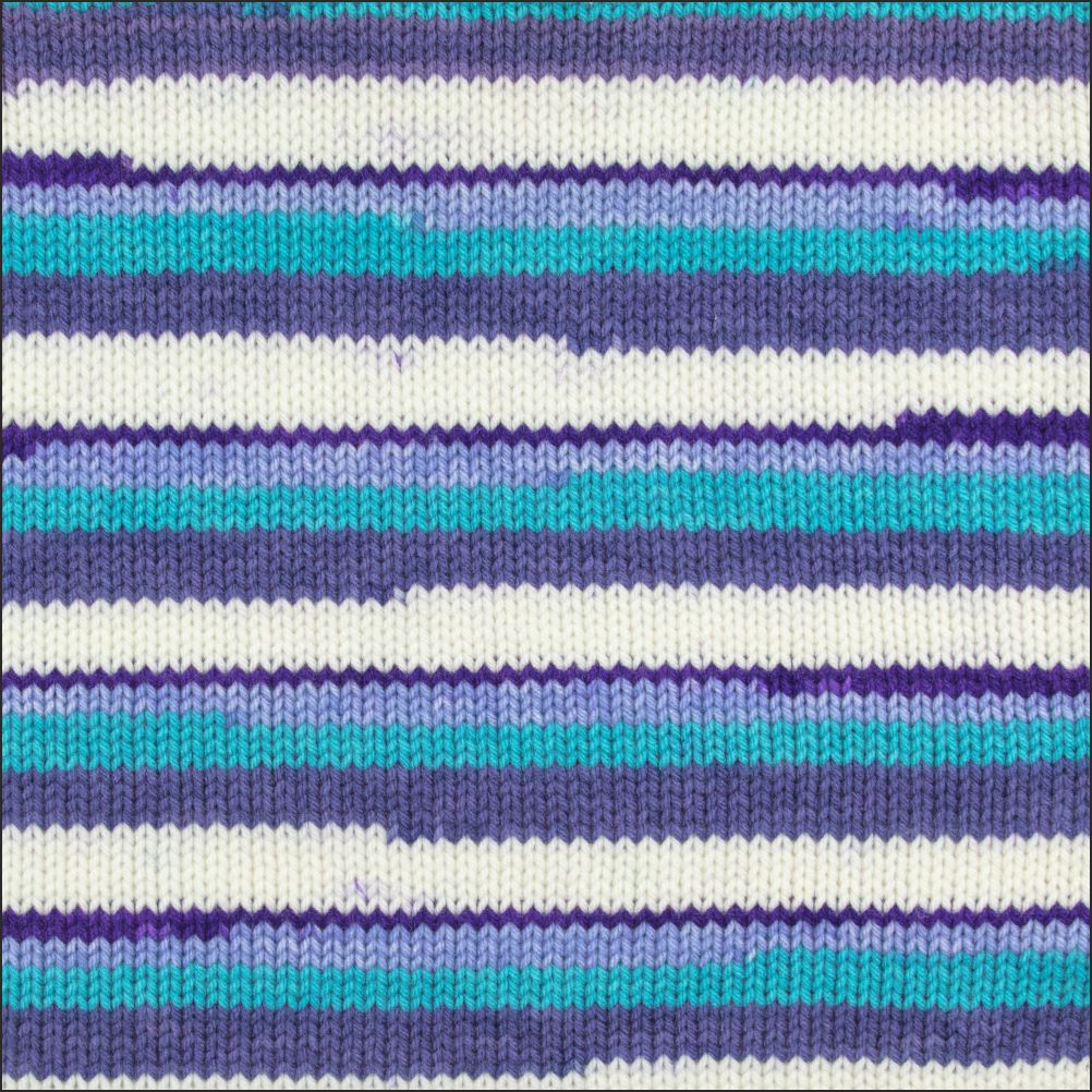 Pinto Knitter's Choice