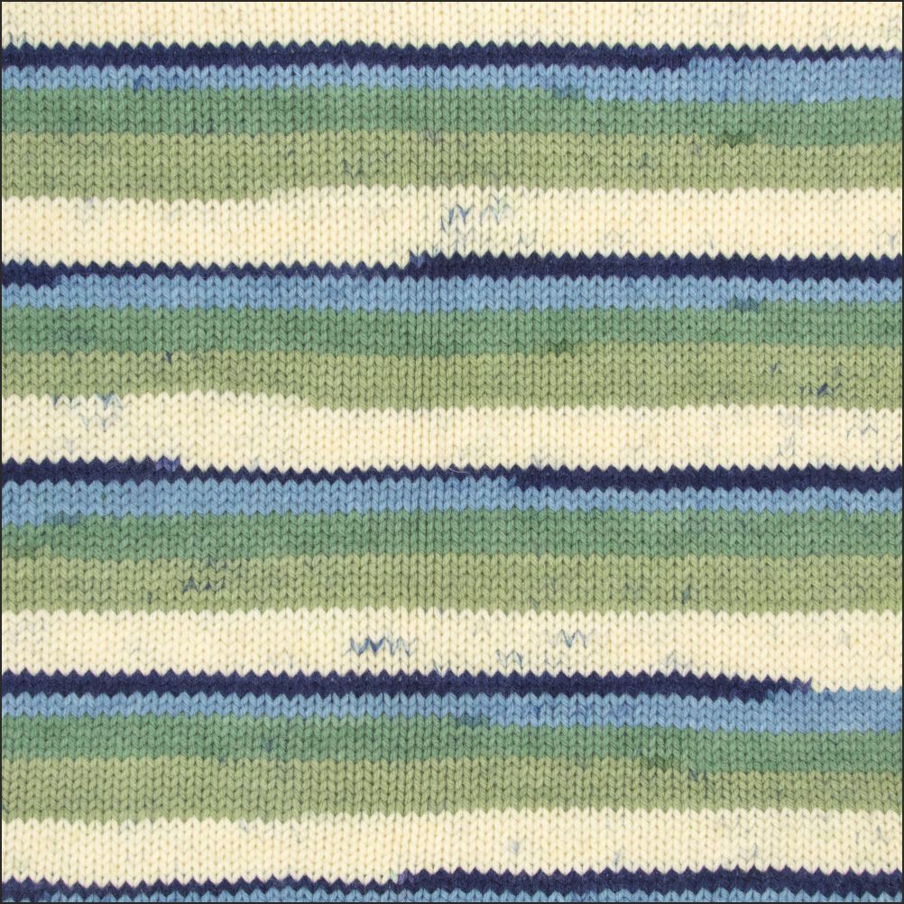 Pinto Knitter's Choice