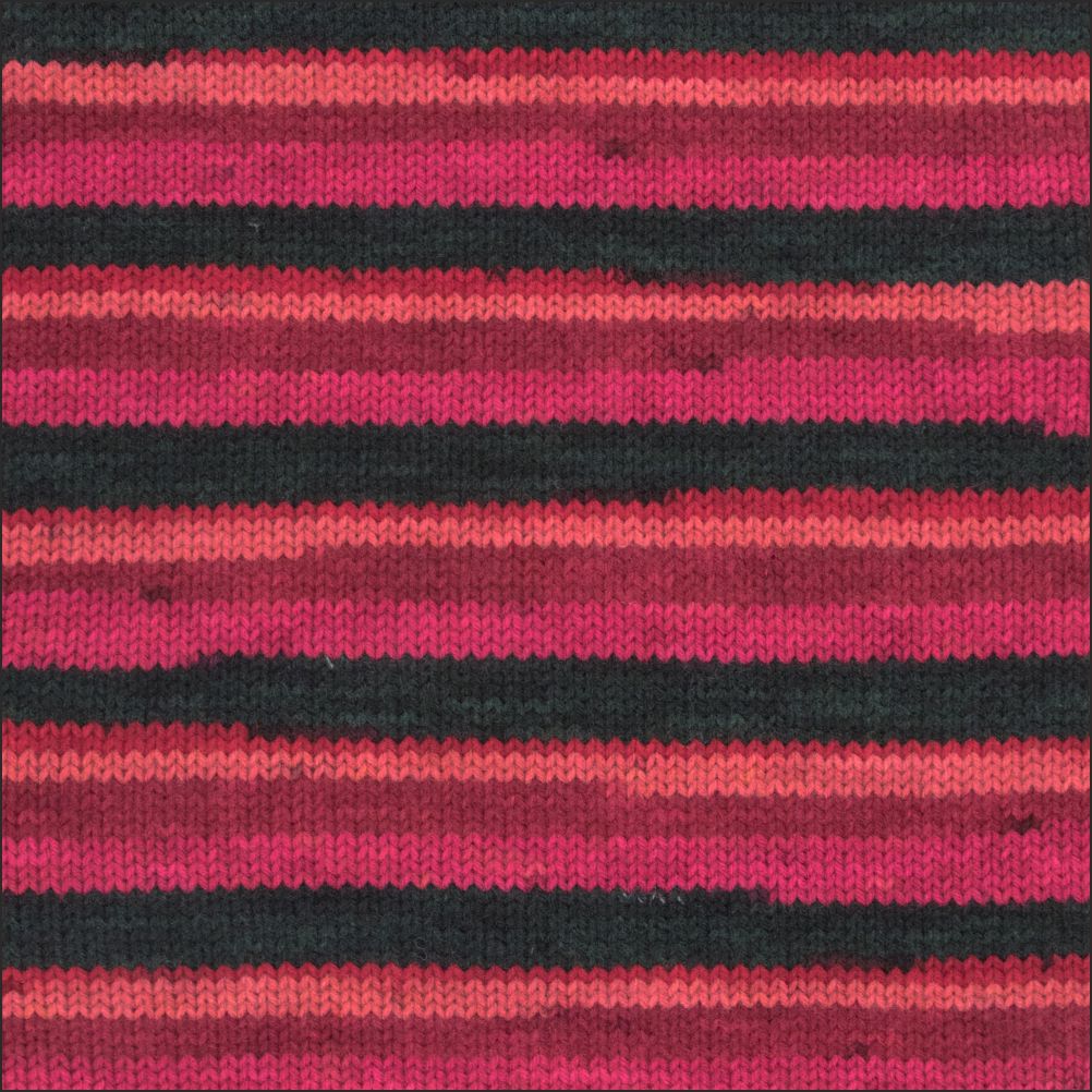 Pinto Knitter's Choice