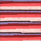 Pinto Knitter's Choice