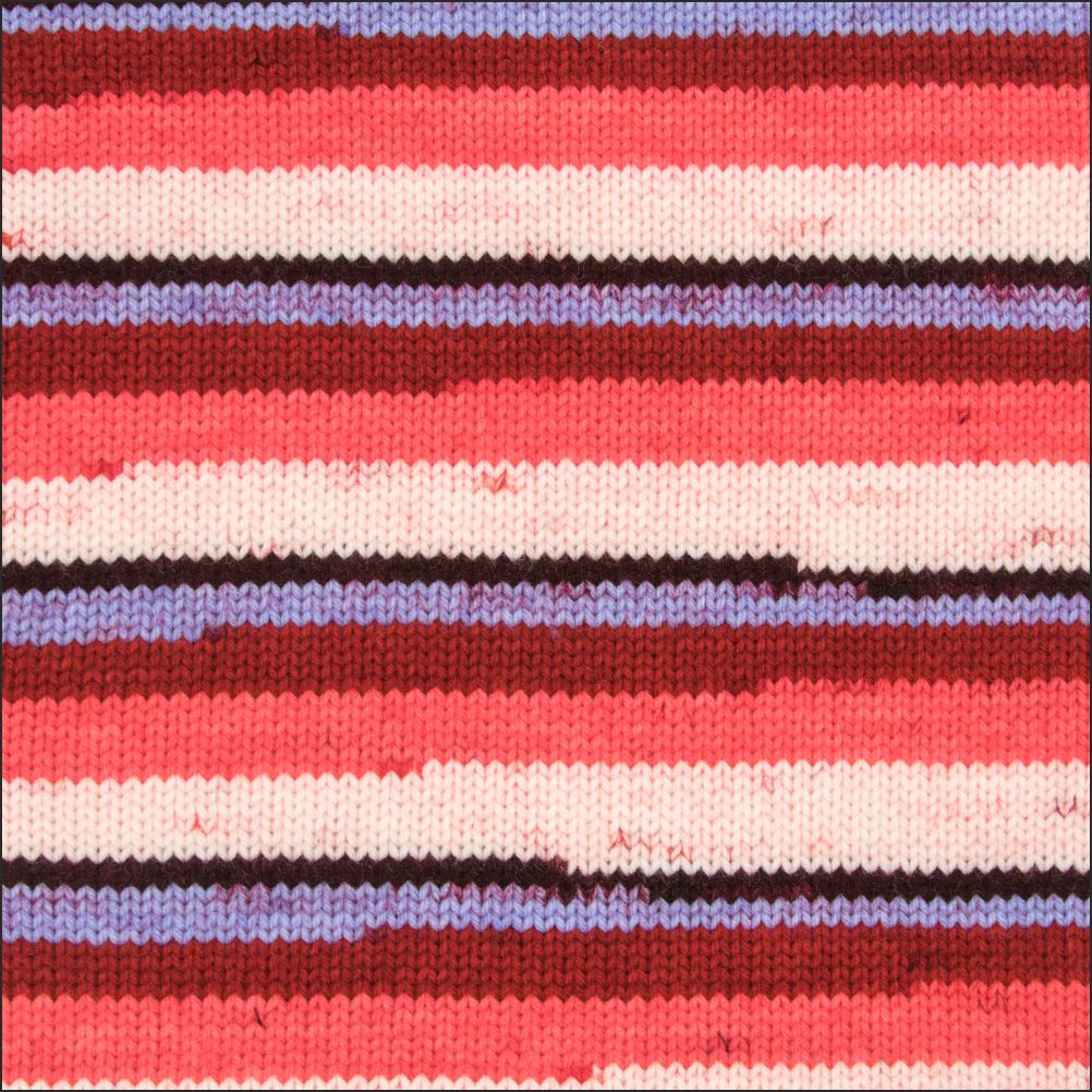 Pinto Knitter's Choice