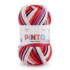 Pinto Knitter's Choice