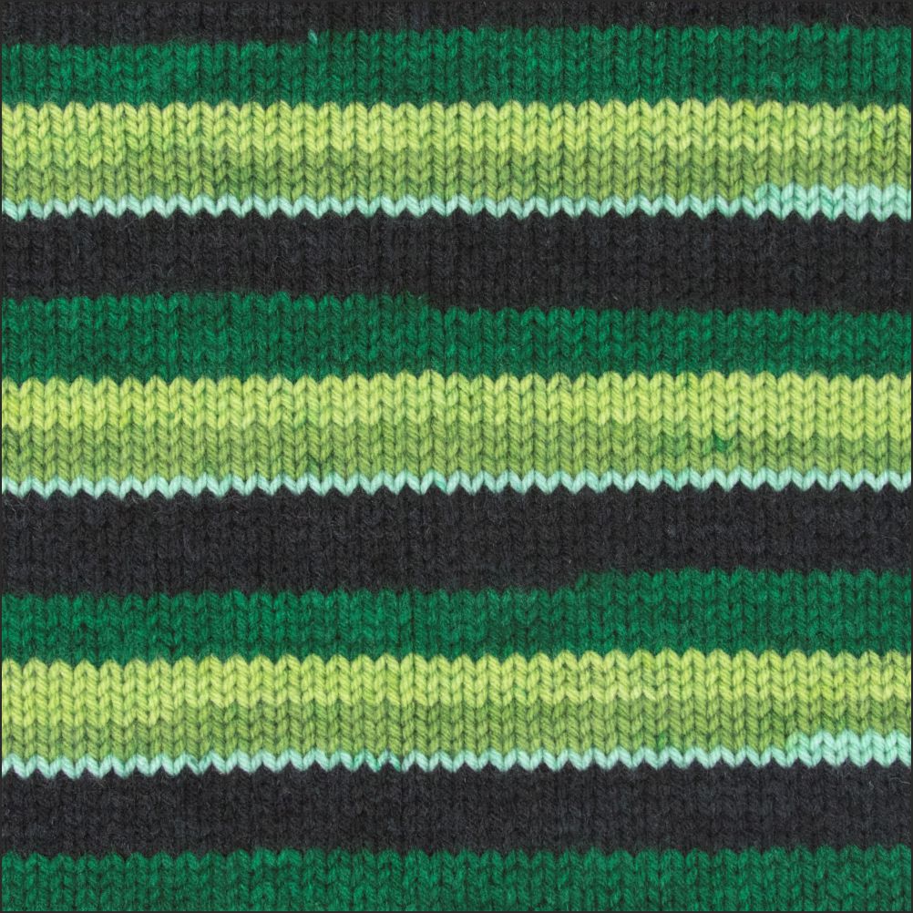 Pinto Knitter's Choice