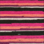 Pinto Knitter's Choice