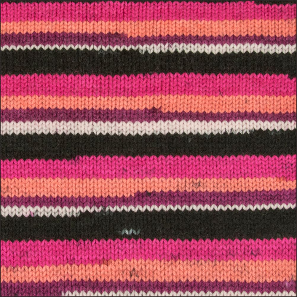 Pinto Knitter's Choice