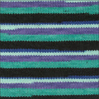 Pinto Knitter's Choice