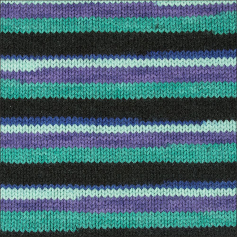 Pinto Knitter's Choice