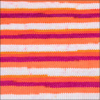 Pinto Knitter's Choice