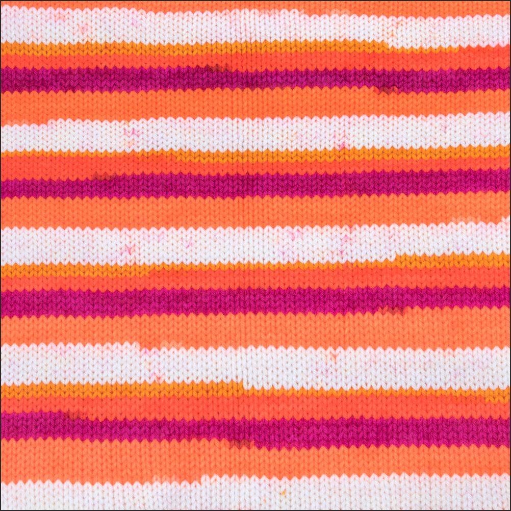 Pinto Knitter's Choice