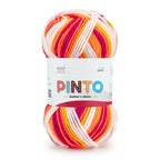 Pinto Knitter's Choice