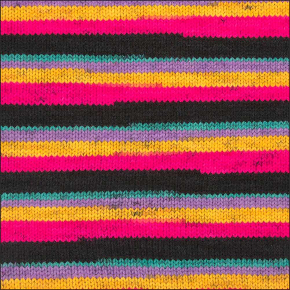 Pinto Knitter's Choice