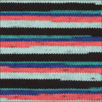 Pinto Knitter's Choice