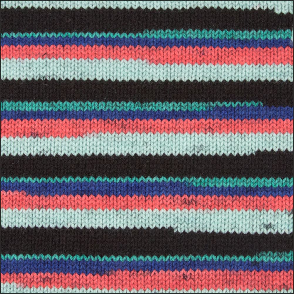 Pinto Knitter's Choice