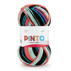 Pinto Knitter's Choice