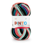 Pinto Knitter's Choice