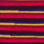 Pinto Knitter's Choice