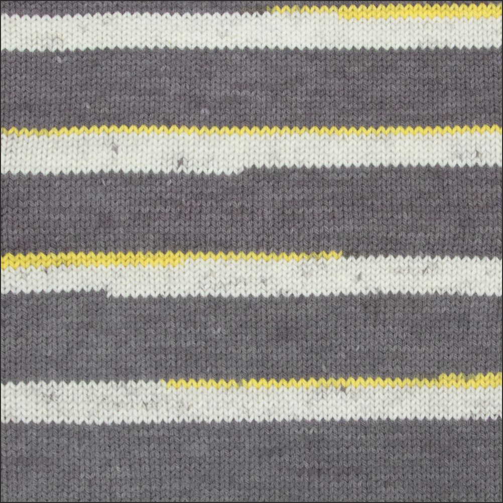 Pinto Knitter's Choice