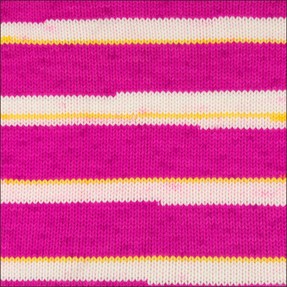 Pinto Knitter's Choice