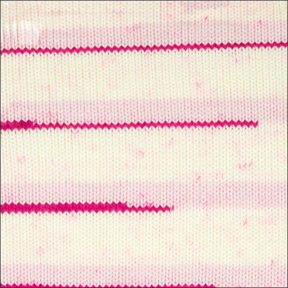 Pinto Knitter's Choice