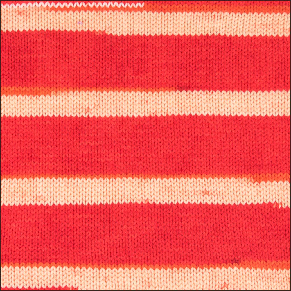 Pinto Knitter's Choice