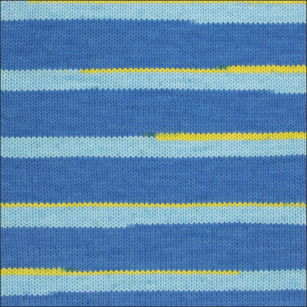Pinto Knitter's Choice