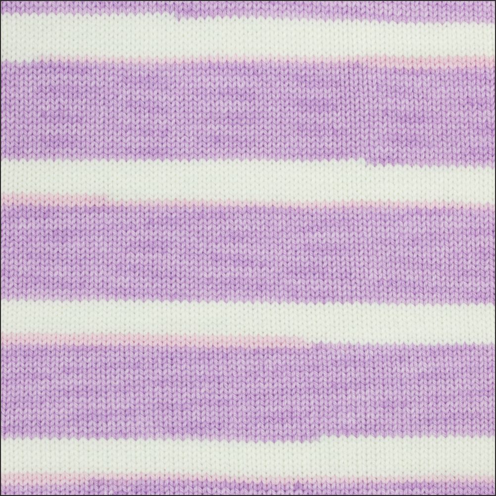 Pinto Knitter's Choice