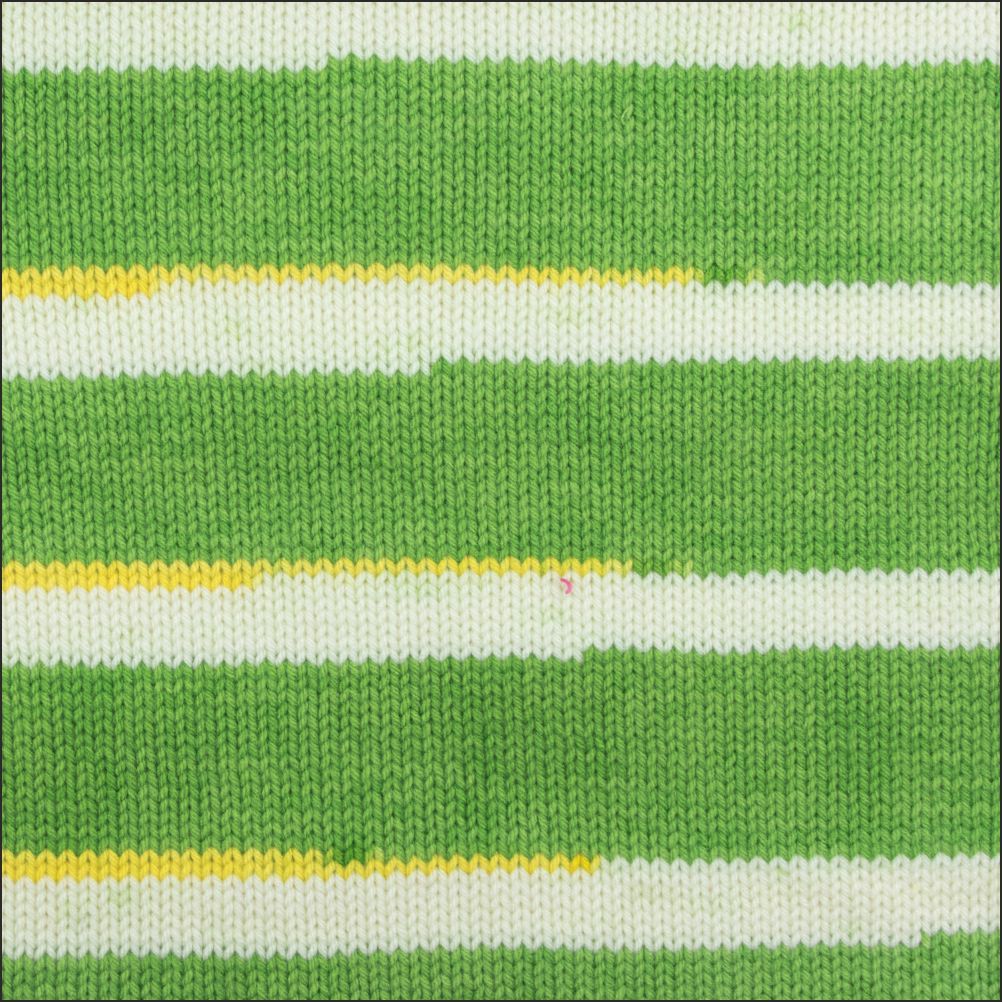 Pinto Knitter's Choice