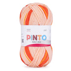 Pinto Knitter's Choice