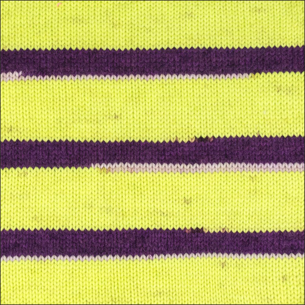 Pinto Knitter's Choice