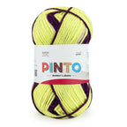 Pinto Knitter's Choice