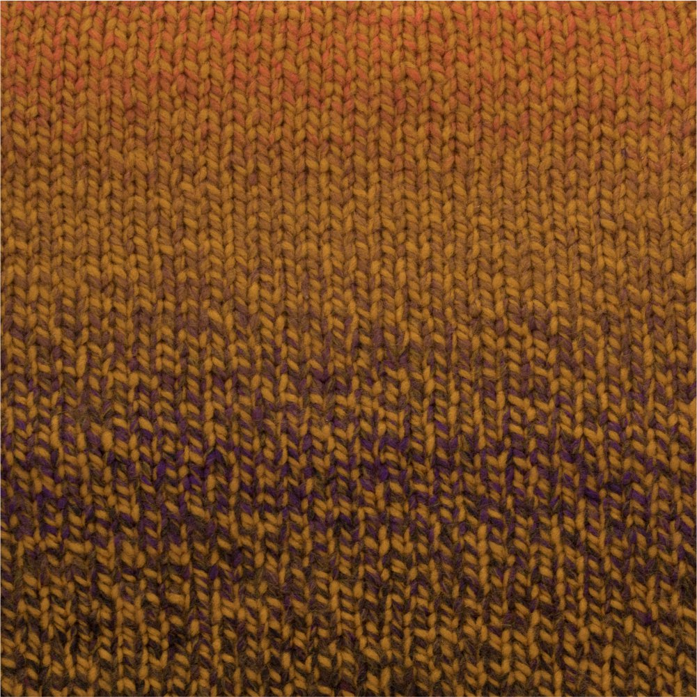 Zebra Multicolor Knitting Yarn