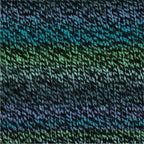Zebra Multicolor Knitting Yarn