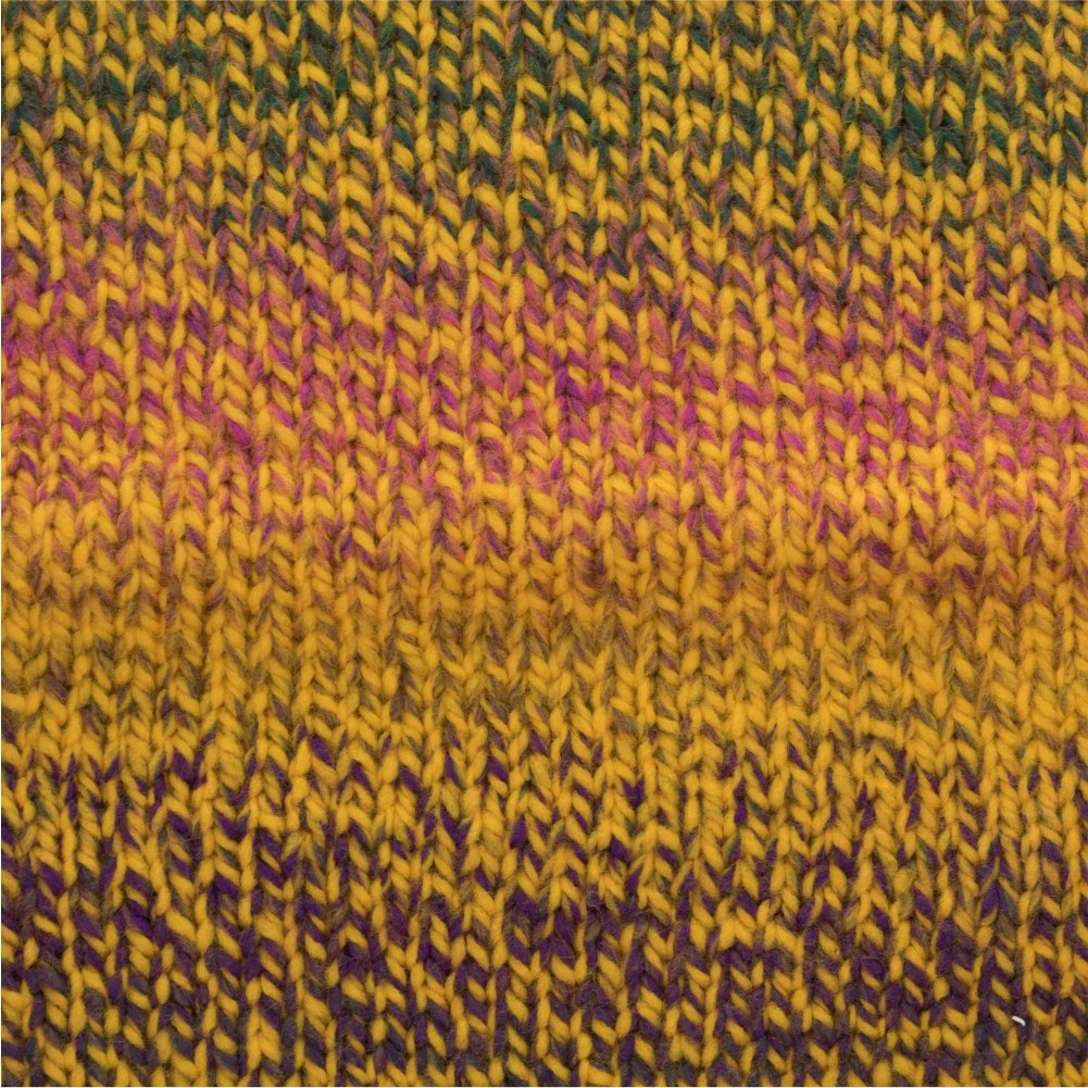 Zebra Multicolor Knitting Yarn