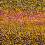 Zebra Multicolor Knitting Yarn