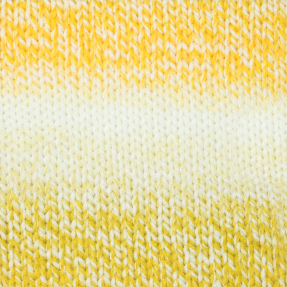 Zebra Multicolor Knitting Yarn