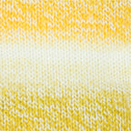 Zebra Multicolor Knitting Yarn