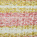 Soft N Smooth Ombre Yarn